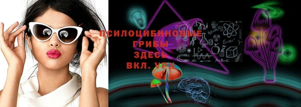 mdpv Коряжма
