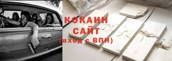 PSILOCYBIN Костерёво