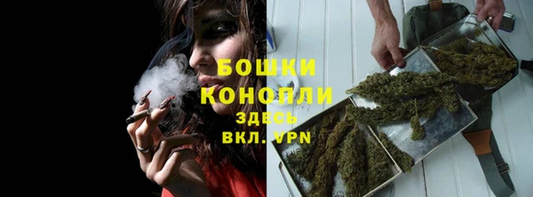PSILOCYBIN Костерёво