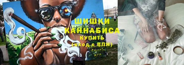 PSILOCYBIN Костерёво