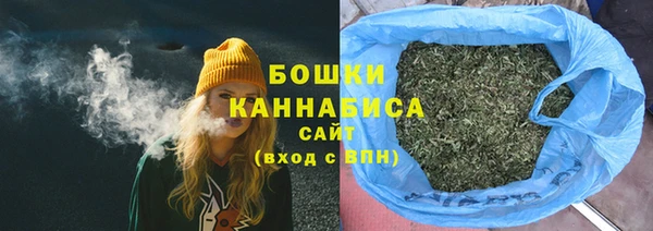 PSILOCYBIN Костерёво