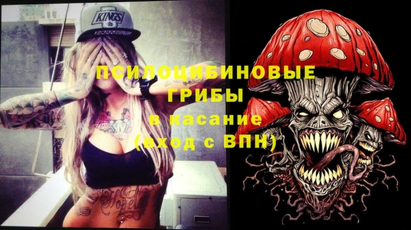 прущие грибы Красноперекопск